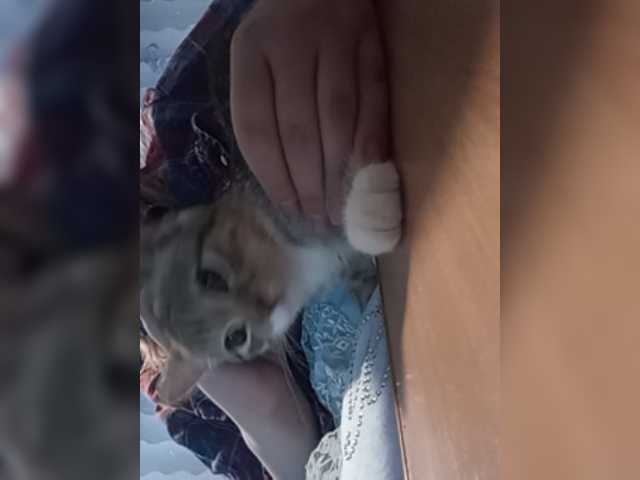 Lähettää kuvakaappauksia 8Lilith8