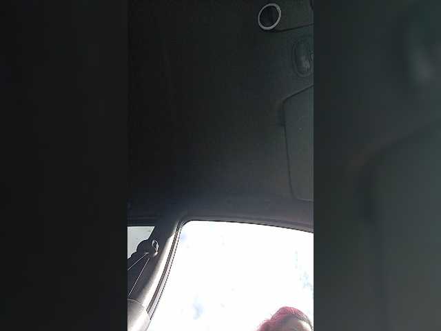 Lähettää kuvakaappauksia AlisaFist