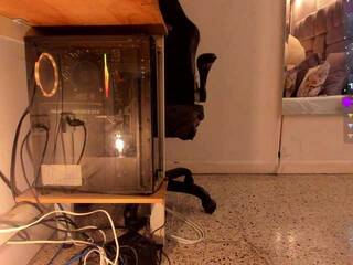 Eroottinen videokeskustelu amina-west