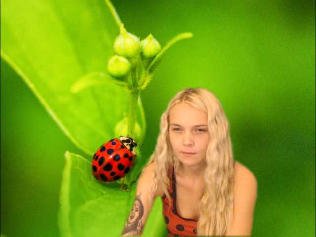 Kuvat AnnaHappy18 ...the story of the lonely ladybug.