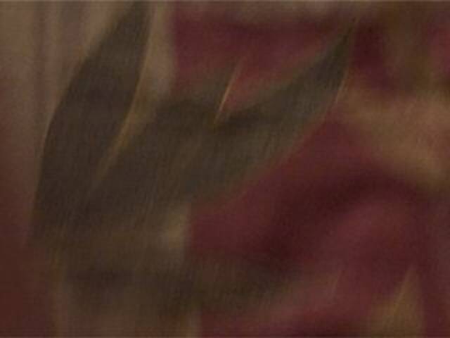 Lähettää kuvakaappauksia AshaPM