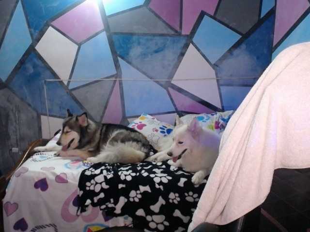 Lähettää kuvakaappauksia beautifulchubbyqueen