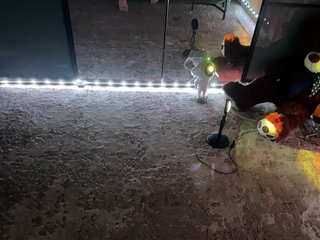 Eroottinen videokeskustelu -KOCMOC-13