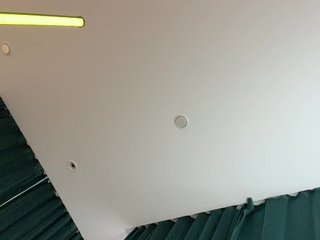 Eroottinen videokeskustelu _Ellidi_