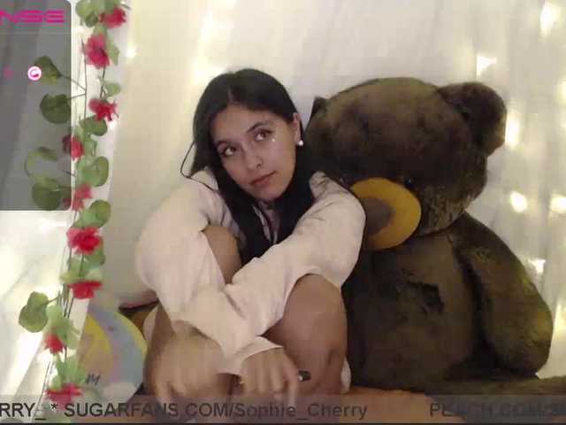 Lähettää kuvakaappauksia soficute