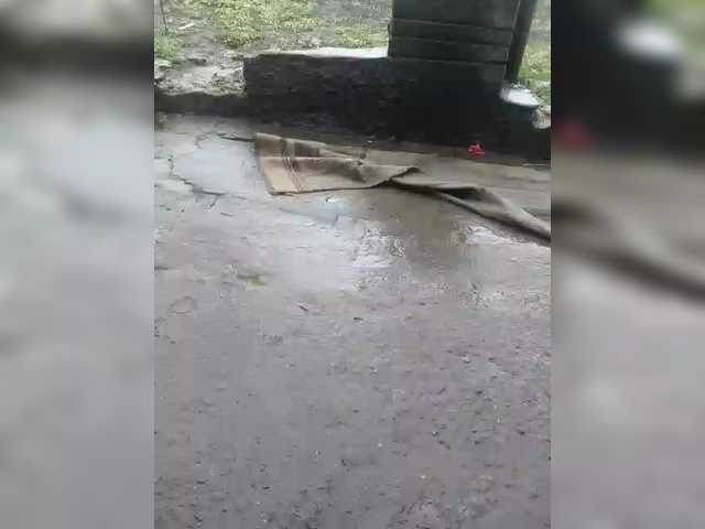 Lähettää kuvakaappauksia Bucneva