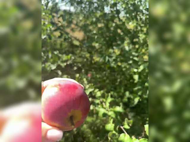 Lähettää kuvakaappauksia SSaibaliii