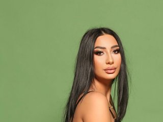 Eroottinen videokeskustelu Diamond-Touch