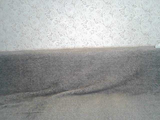 Lähettää kuvakaappauksia ElegantBlonda