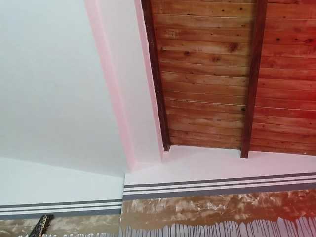 Lähettää kuvakaappauksia flexylive