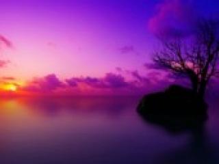 Eroottinen videokeskustelu florabella