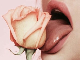 Eroottinen videokeskustelu Innocent_Flower