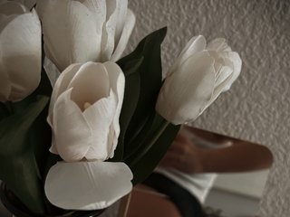 Eroottinen videokeskustelu ISweetI