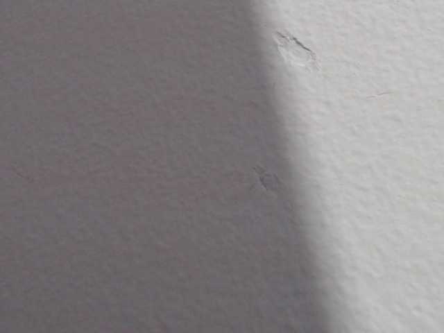 Lähettää kuvakaappauksia Katithompson