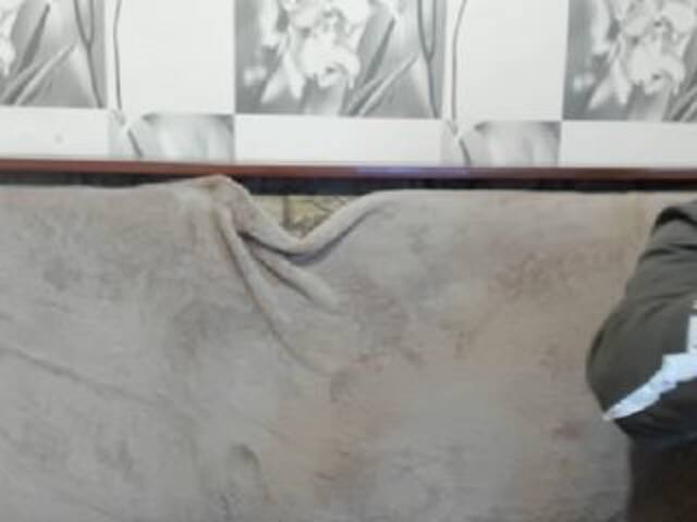 Lähettää kuvakaappauksia sexyit09