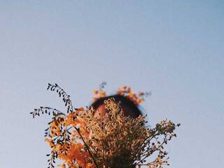 Eroottinen videokeskustelu Miniiskis