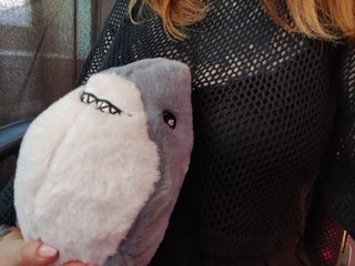 Eroottinen videokeskustelu Missmedaer