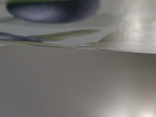 Eroottinen videokeskustelu NessiePolly