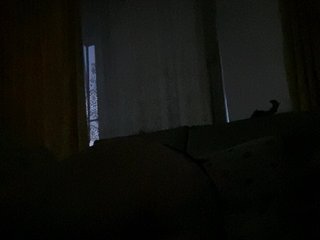Eroottinen videokeskustelu Newcam