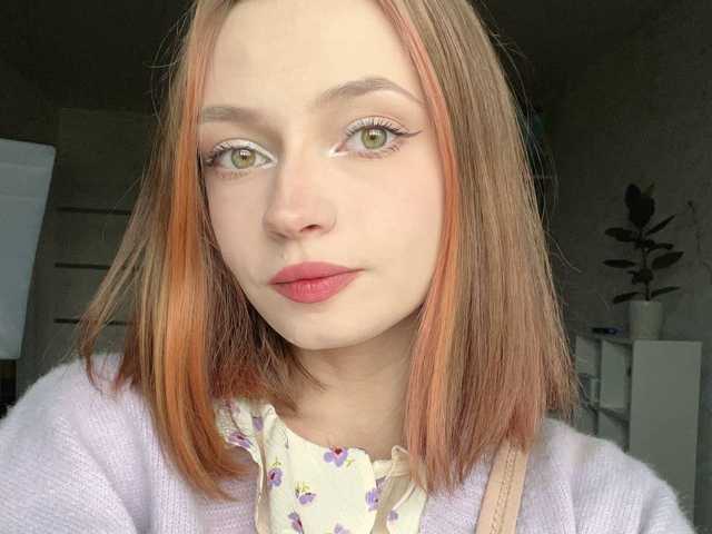 Kuva profiilista polinkiss