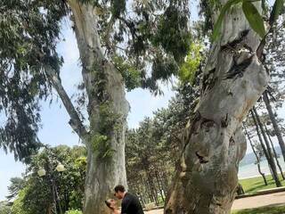 Eroottinen videokeskustelu PUPI-DEL-REY