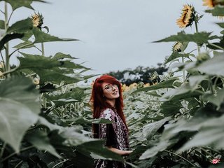 Eroottinen videokeskustelu pussyxpaladin