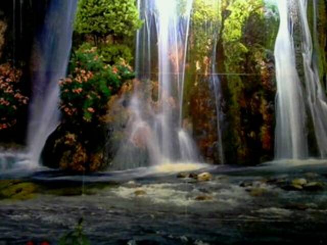 Lähettää kuvakaappauksia regiha