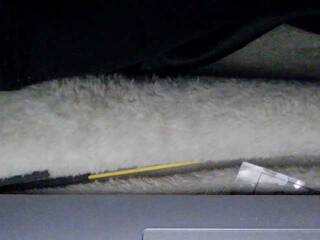 Eroottinen videokeskustelu sexysapphiresweet