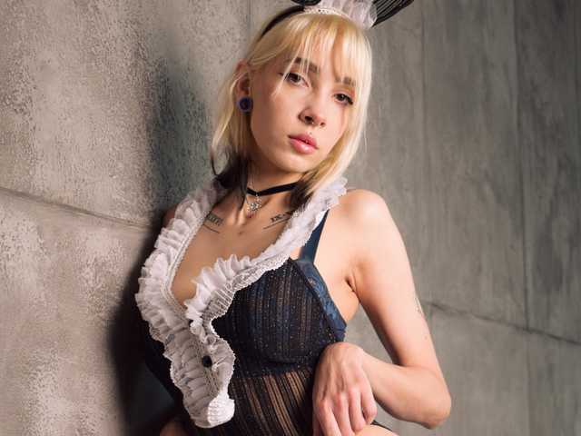 Kuva profiilista Shiba-Ana