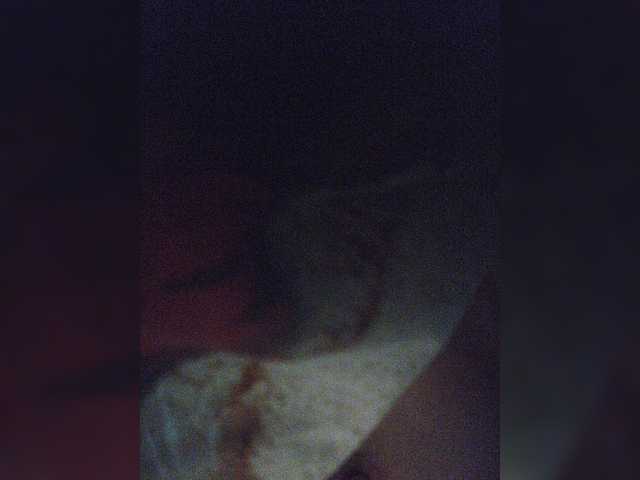 Lähettää kuvakaappauksia small-cat