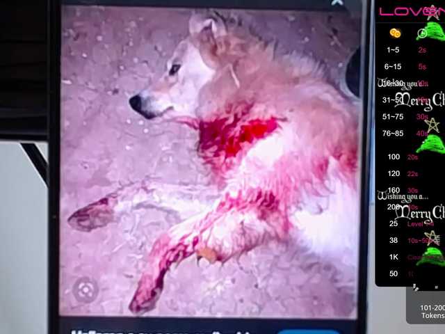 Lähettää kuvakaappauksia sofiaclaus