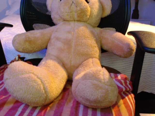 Lähettää kuvakaappauksia SofiaZapata