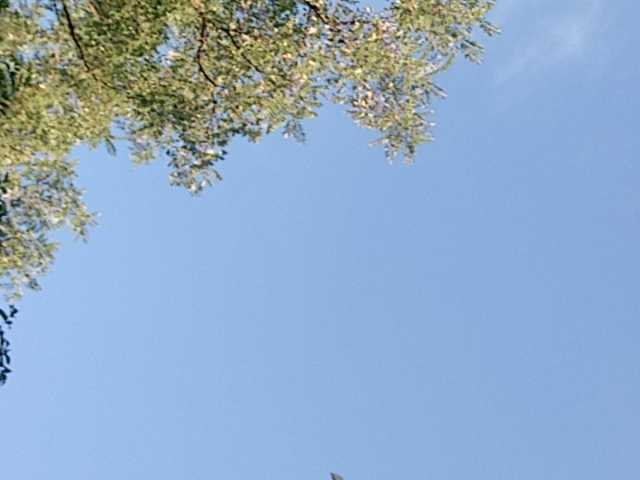 Lähettää kuvakaappauksia StreetLove2