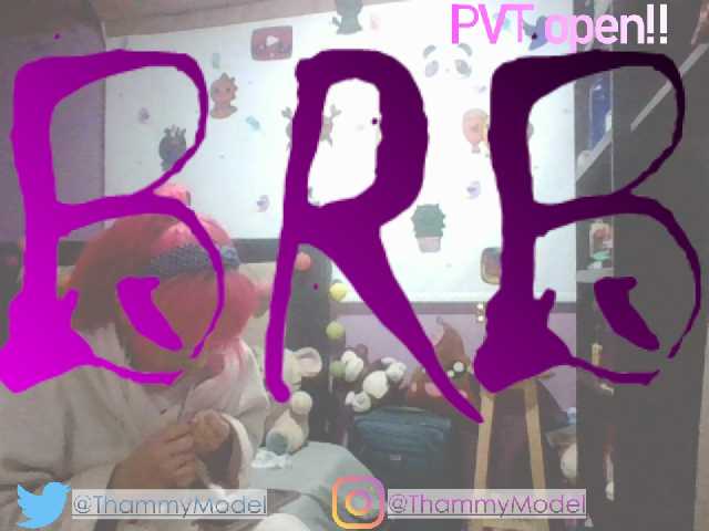 Lähettää kuvakaappauksia ThammyModell