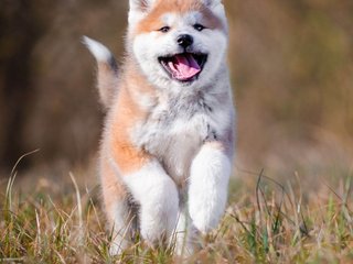 Eroottinen videokeskustelu Val309a