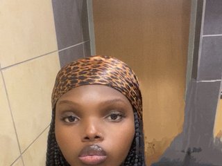 Eroottinen videokeskustelu Wildcata